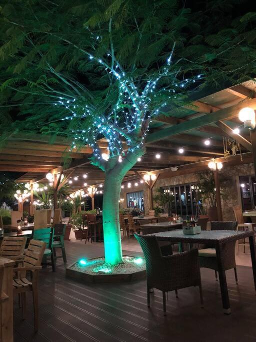 קוסטה קלמה Beach Front Apartment With Stunning Ocean Views! מראה חיצוני תמונה